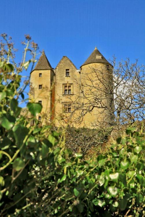 Petite Maison En Pierre Au Coeur Du Perigord Noir Salignac Eyvigues ภายนอก รูปภาพ