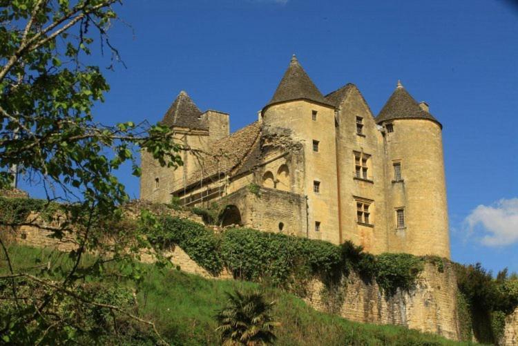 Petite Maison En Pierre Au Coeur Du Perigord Noir Salignac Eyvigues ภายนอก รูปภาพ