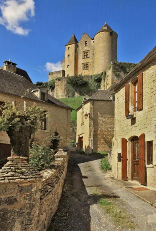 Petite Maison En Pierre Au Coeur Du Perigord Noir Salignac Eyvigues ภายนอก รูปภาพ
