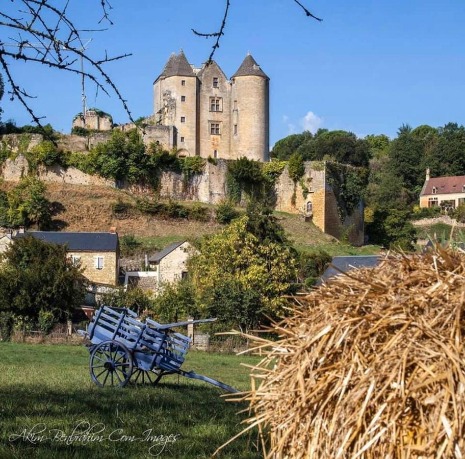 Petite Maison En Pierre Au Coeur Du Perigord Noir Salignac Eyvigues ภายนอก รูปภาพ